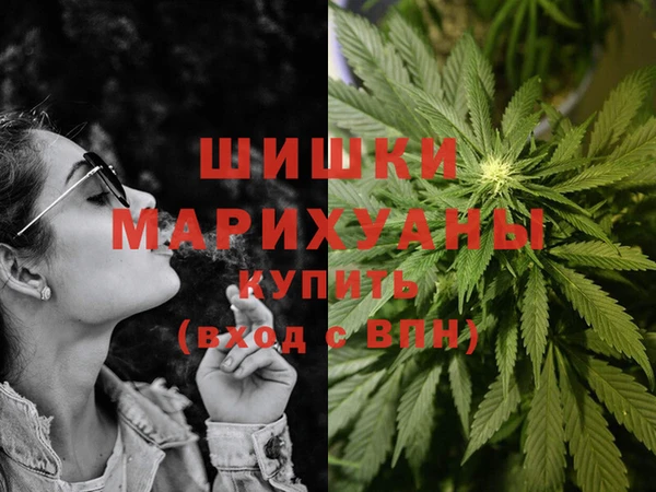 дурь Киреевск