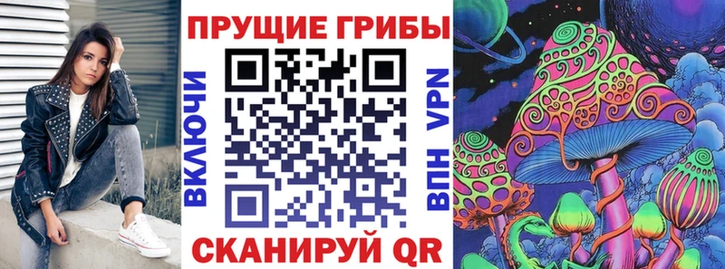 Купить закладки  Дмитров  Галлюциногенные грибы мухоморы 