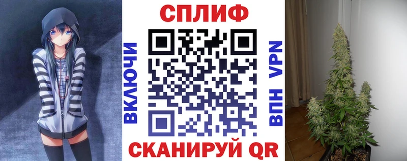 Марихуана семена  Купить закладки  Дмитров 